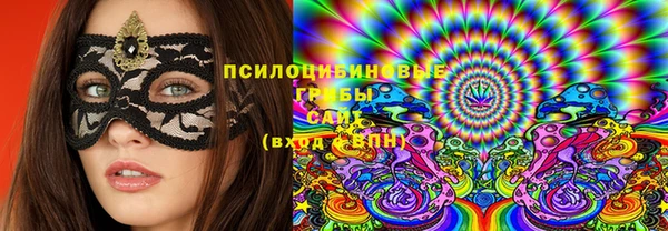 PSILOCYBIN Верхнеуральск